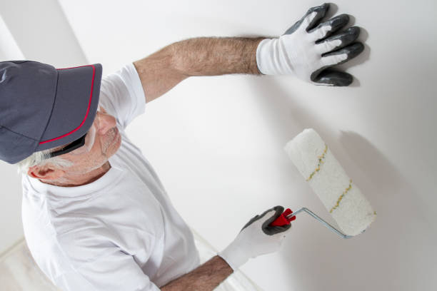 Best Residential Mold Inspection & Testing  in Elyria, OH