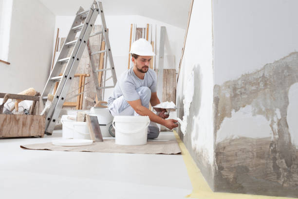 Best Asbestos and Lead Testing During Mold Inspection  in Elyria, OH