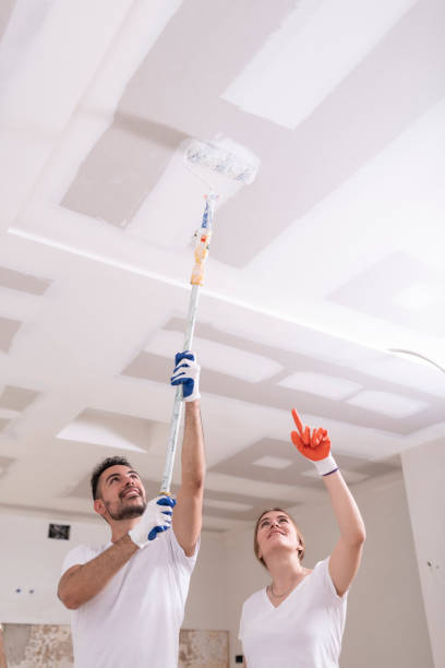 Trusted Elyria, OH Mold Removal Experts