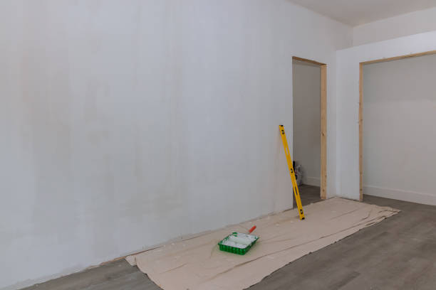 Best Mold Odor Removal Services  in Elyria, OH