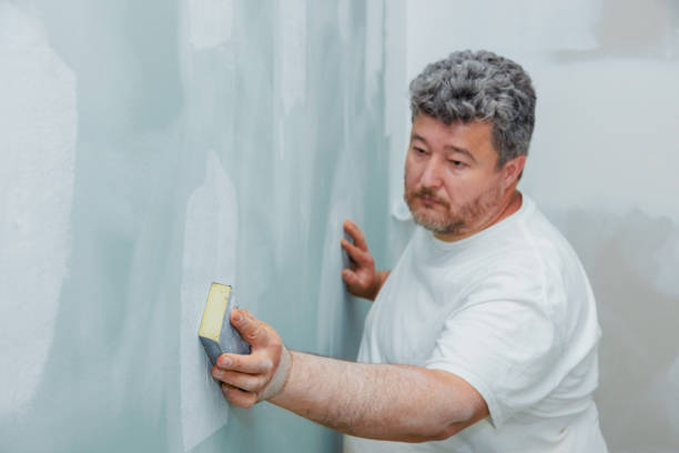  Elyria, OH Mold Removal Pros