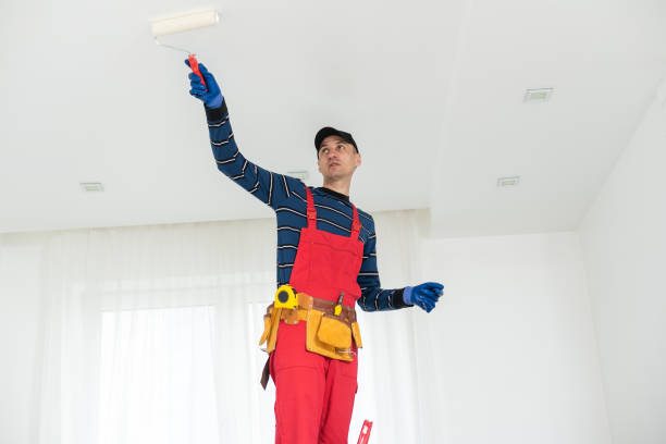 Best Water Damage & Mold Remediation  in Elyria, OH