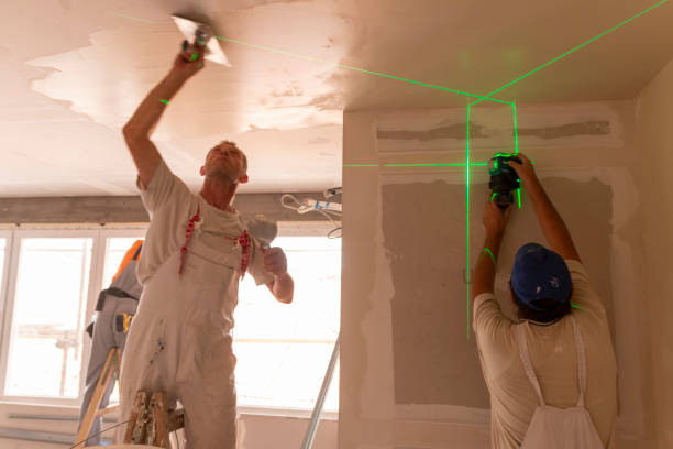 Best Biohazard Mold Removal  in Elyria, OH