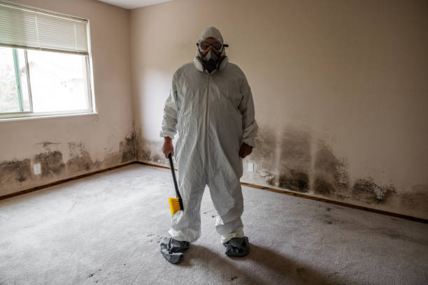 Best Mold Remediation for Healthcare Facilities  in Elyria, OH