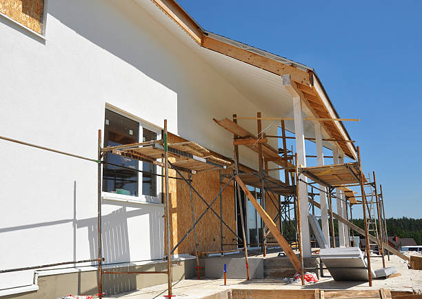 Best Emergency Mold Remediation  in Elyria, OH